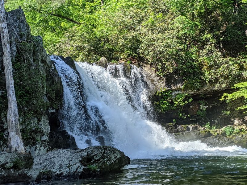 The Old Name Behind the Roaring Water