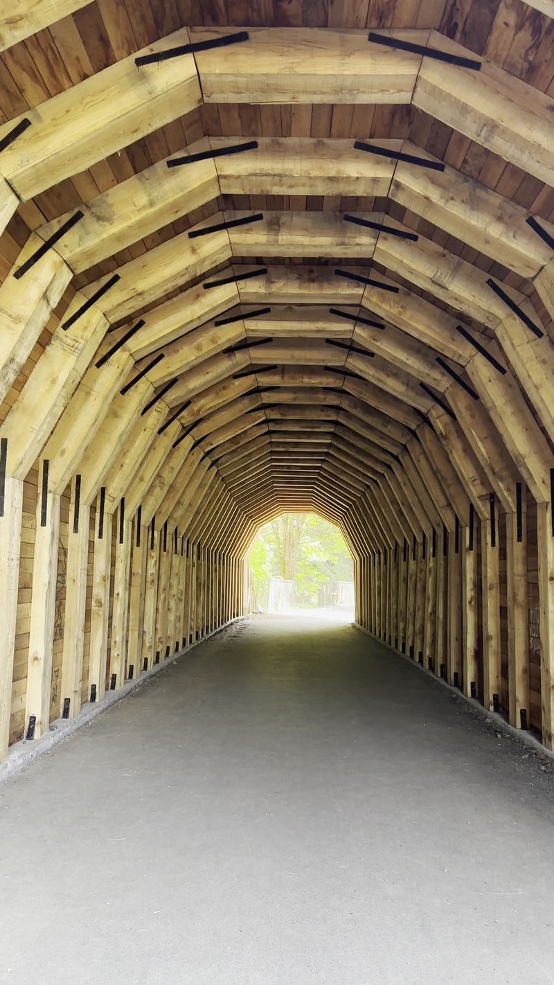 The Old Railroad Tunnel