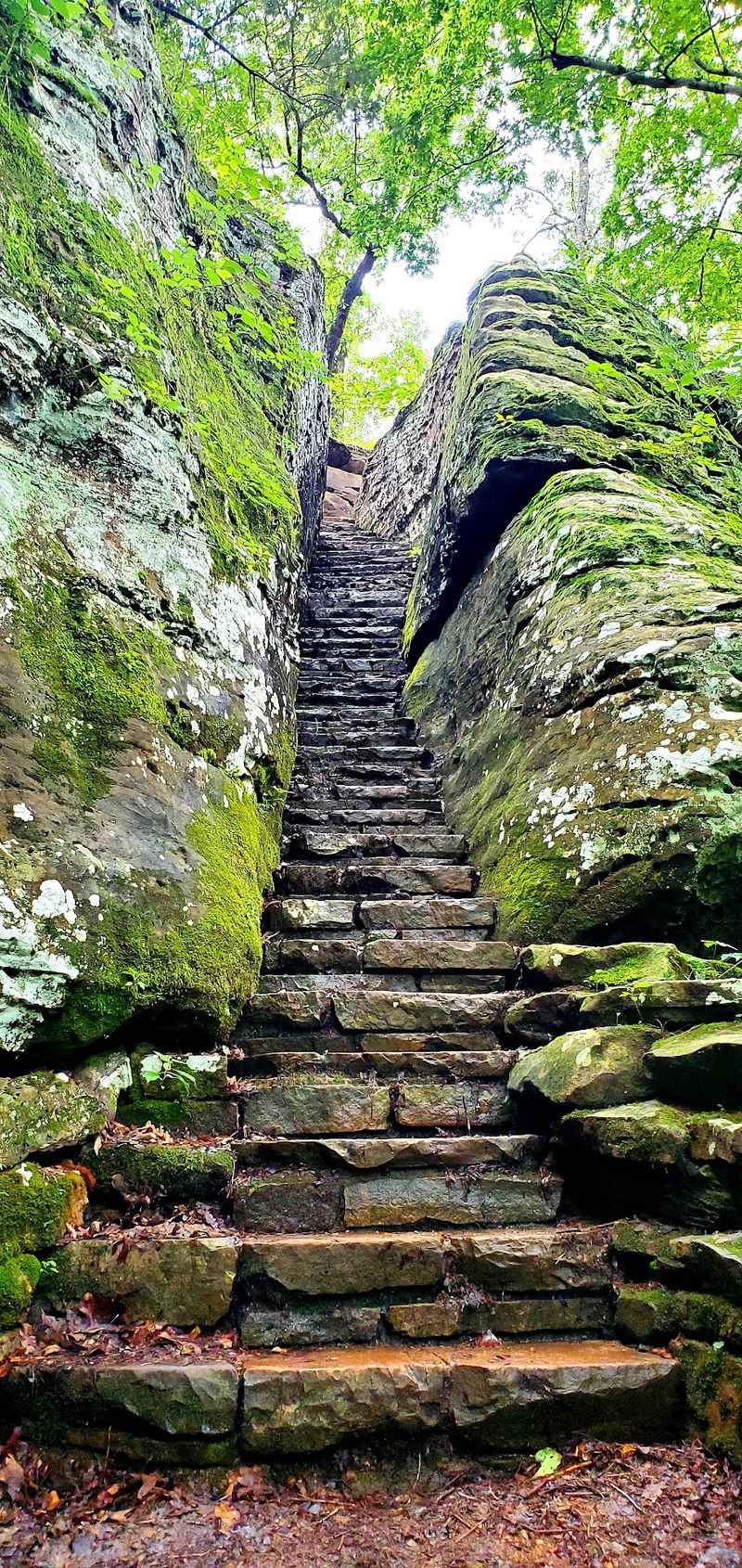 The Old Stone Stairway Into the Bluffs