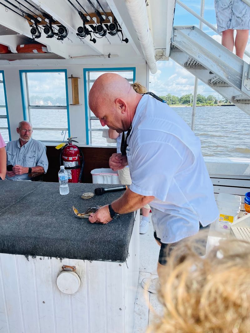 The Oyster Lesson Nobody Expects The Oyster Lesson Nobody Expects
