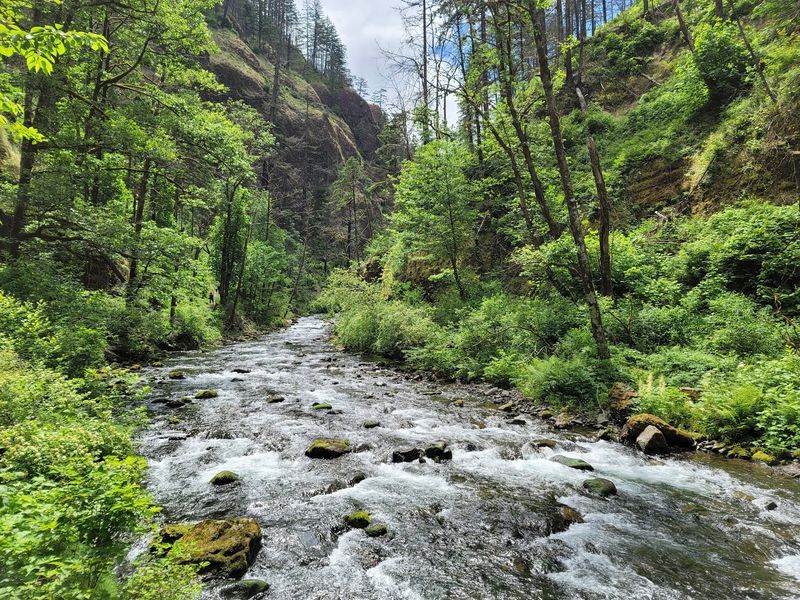 The Pacific Northwest in a Nutshell