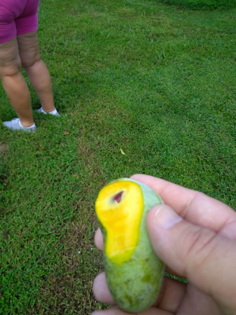 The Pawpaw Surprise