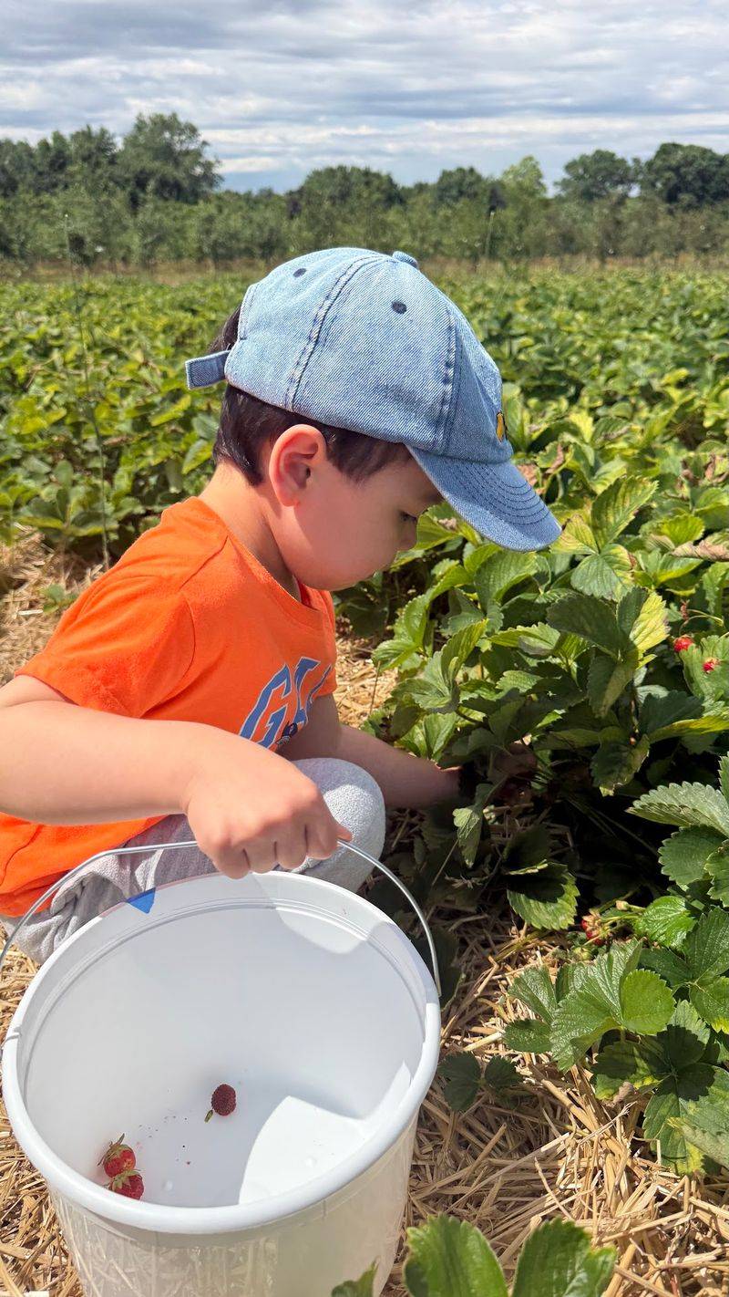 The Pick-Your-Own Basics Before You Grab A Bucket The Pick-Your-Own Basics Before You Grab A Bucket