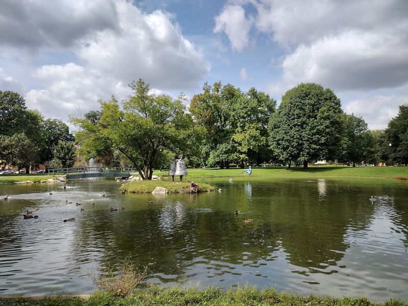 The Pond That Draws Everyone Toward It The Pond That Draws Everyone Toward It
