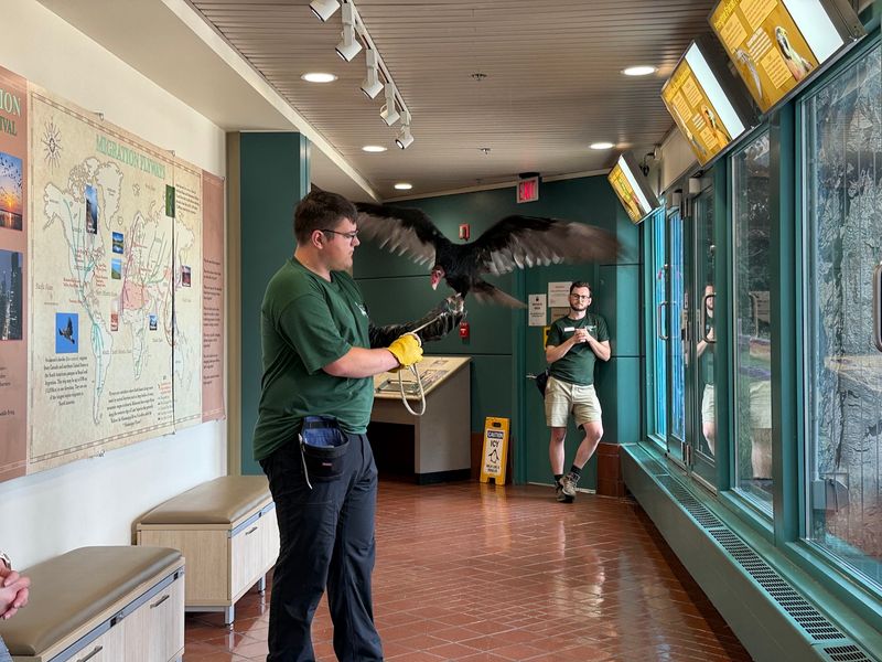 The Raptor Encounter, Minute by Minute