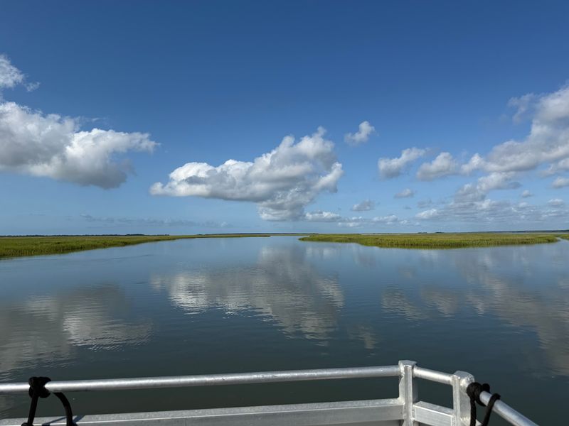 The Ride Across the Marsh