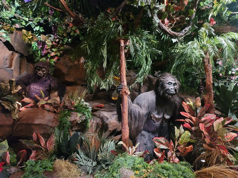 The Right Reason to Choose the Jungle The Right Reason to Choose the Jungle