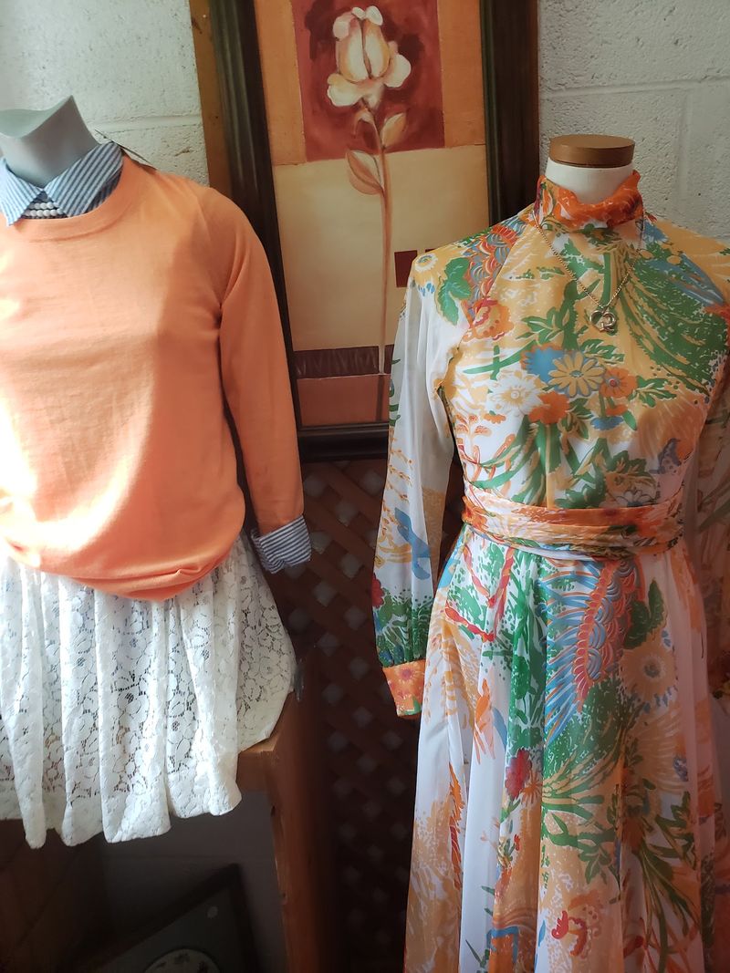 The Roberto Cavalli Discovery