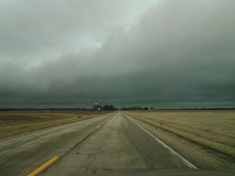 The Scenic Drive In
