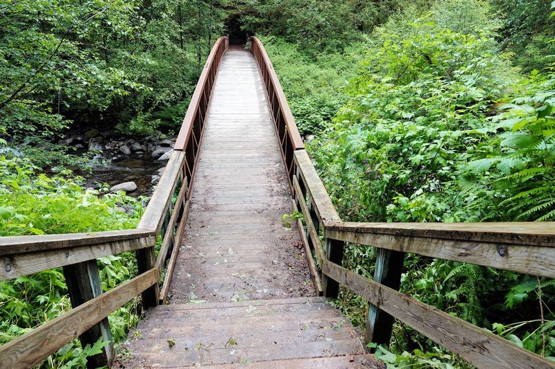The Steel Footbridge Over the Siletz