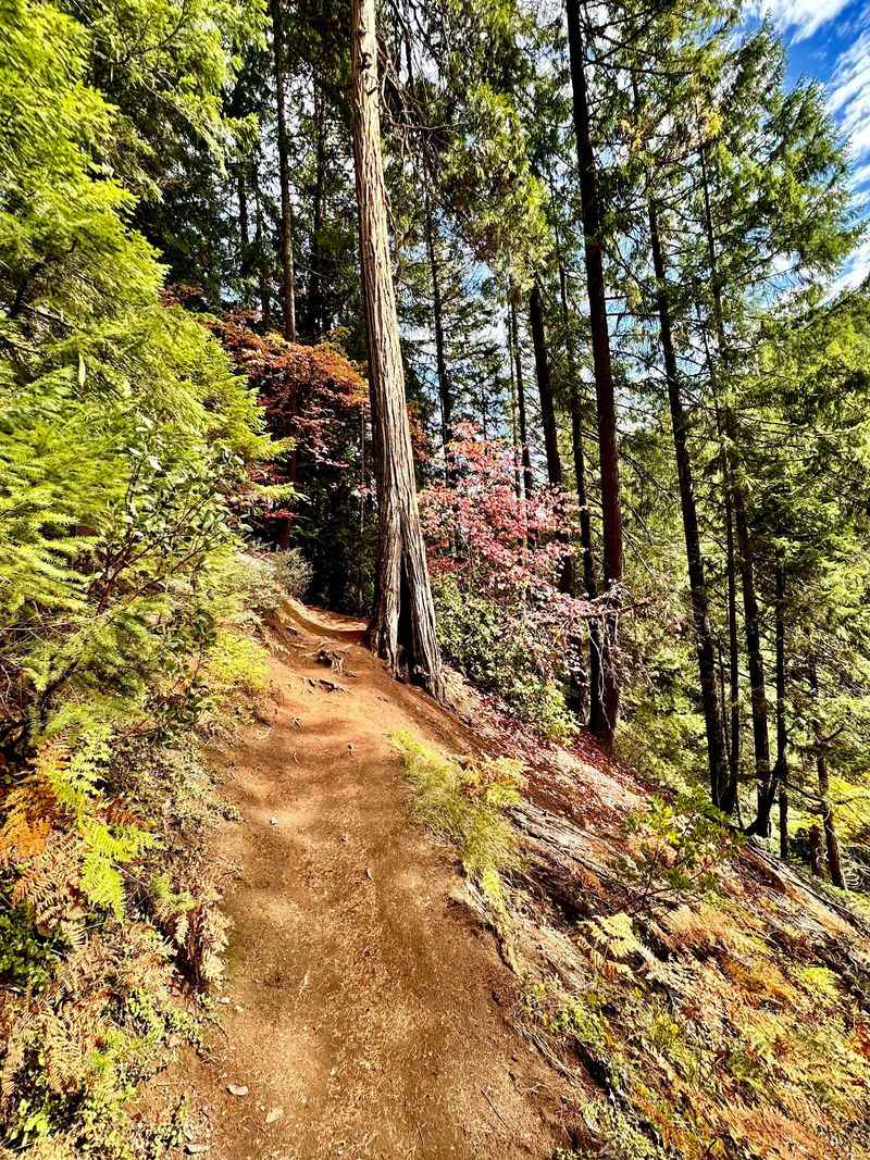 The Steep Half-Mile Climb