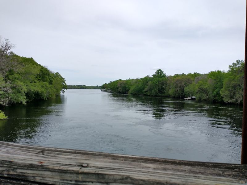 The Suwannee River Trestle Steals the Show