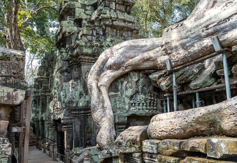 The Tomb Raider Connection