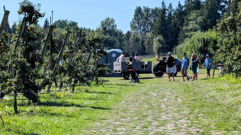 The Tractor Train Out to the Trees