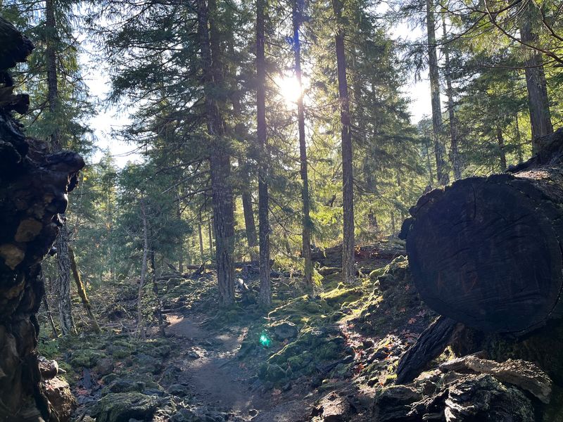The Trail Itself: Length, Pace, and Effort