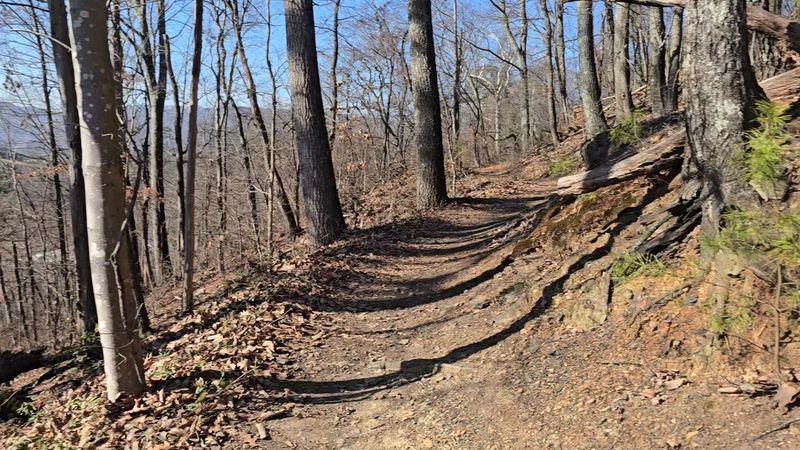 The Trailhead That Undersells Everything The Trailhead That Undersells Everything