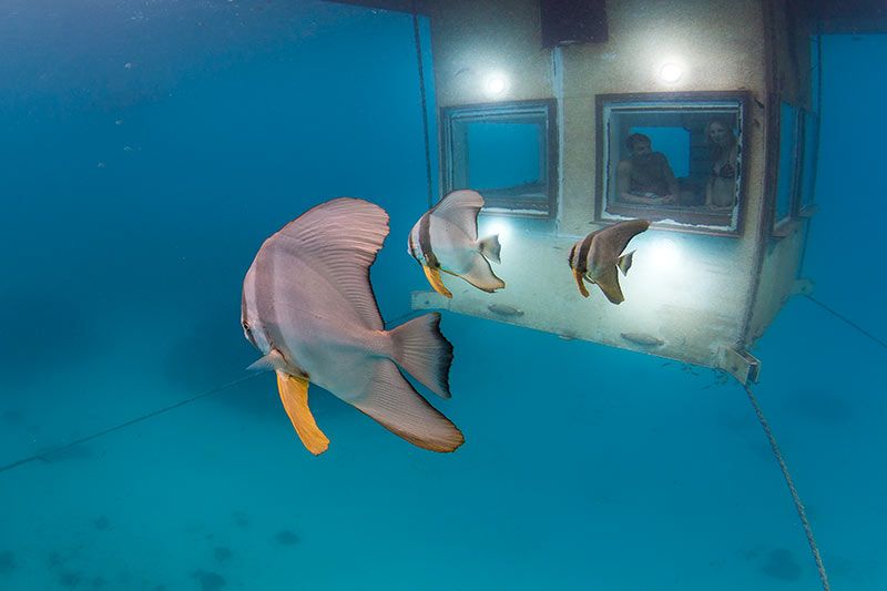 The Underwater Room at The Manta Resort, Tanzania The Underwater Room at The Manta Resort, Tanzania