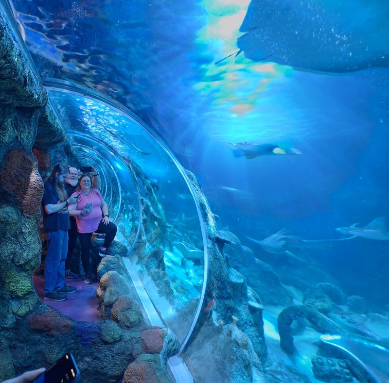 The Underwater Tunnel Everyone Talks About