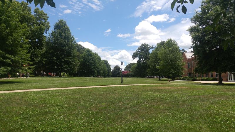 The Verdict on Raleigh's Quiet Surprise