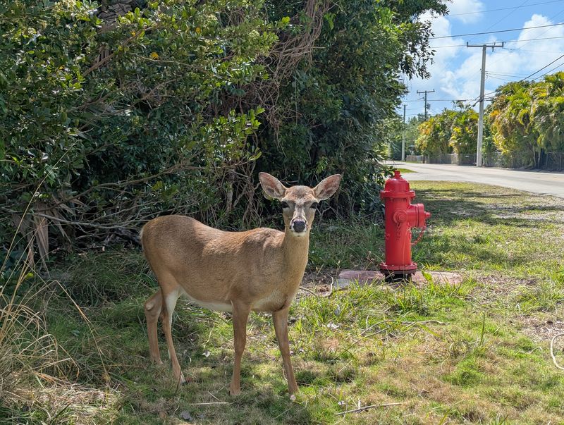 The Visitor Center Where Your Deer Hunt Should Begin The Visitor Center Where Your Deer Hunt Should Begin