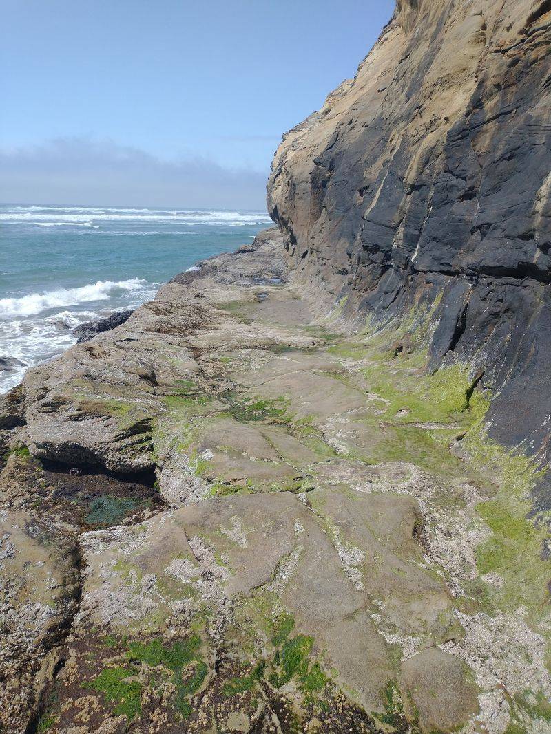 The Wagon Road Carved Into the Rock