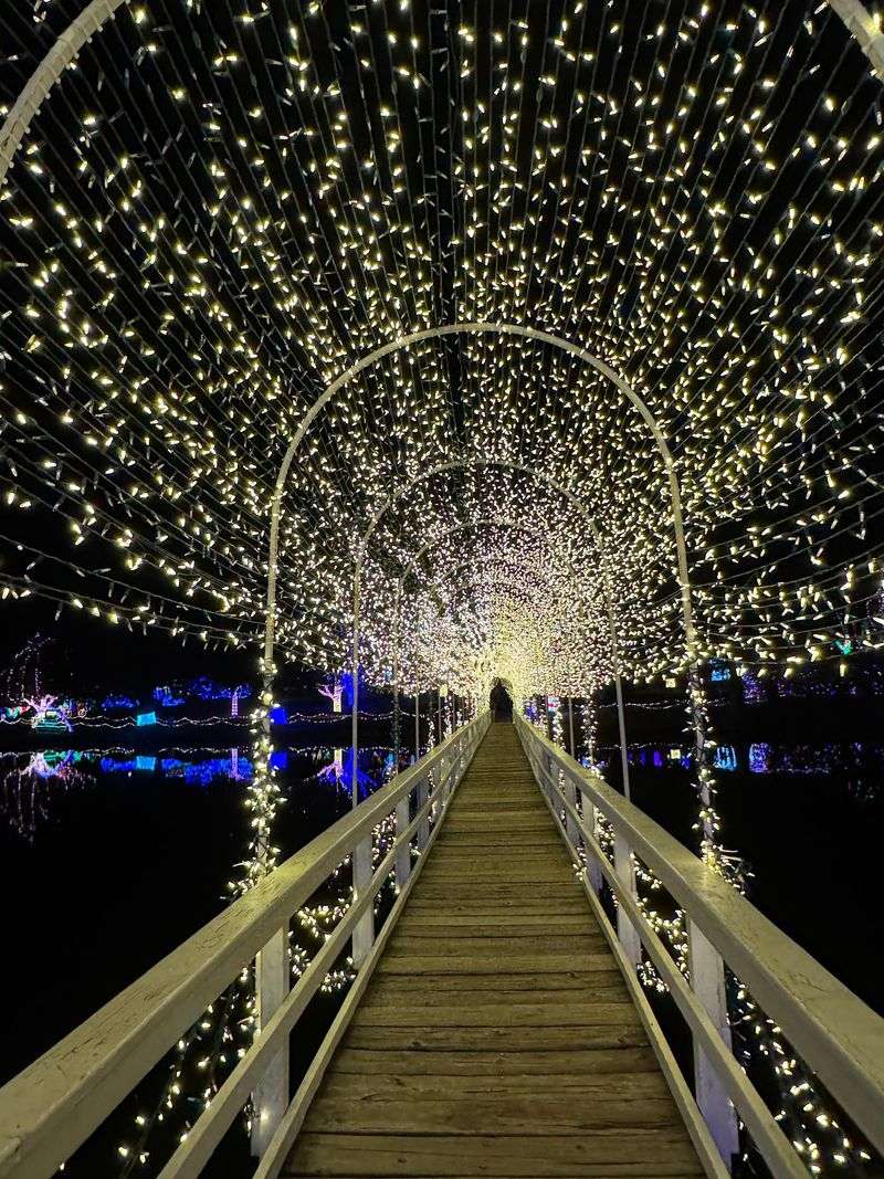 The Walking Path Through a Sea of Lights
