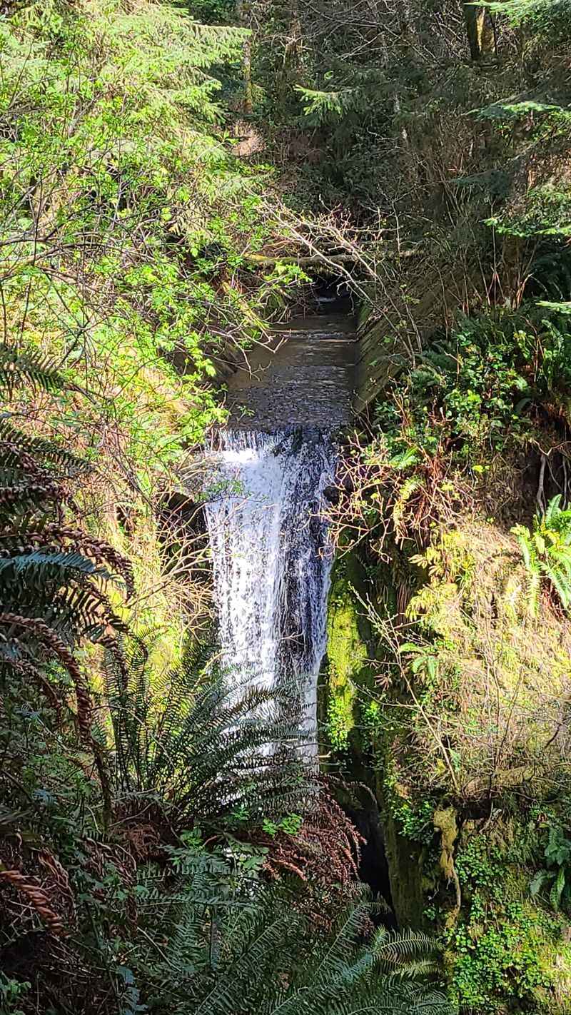 The Waterfall Bonus Round