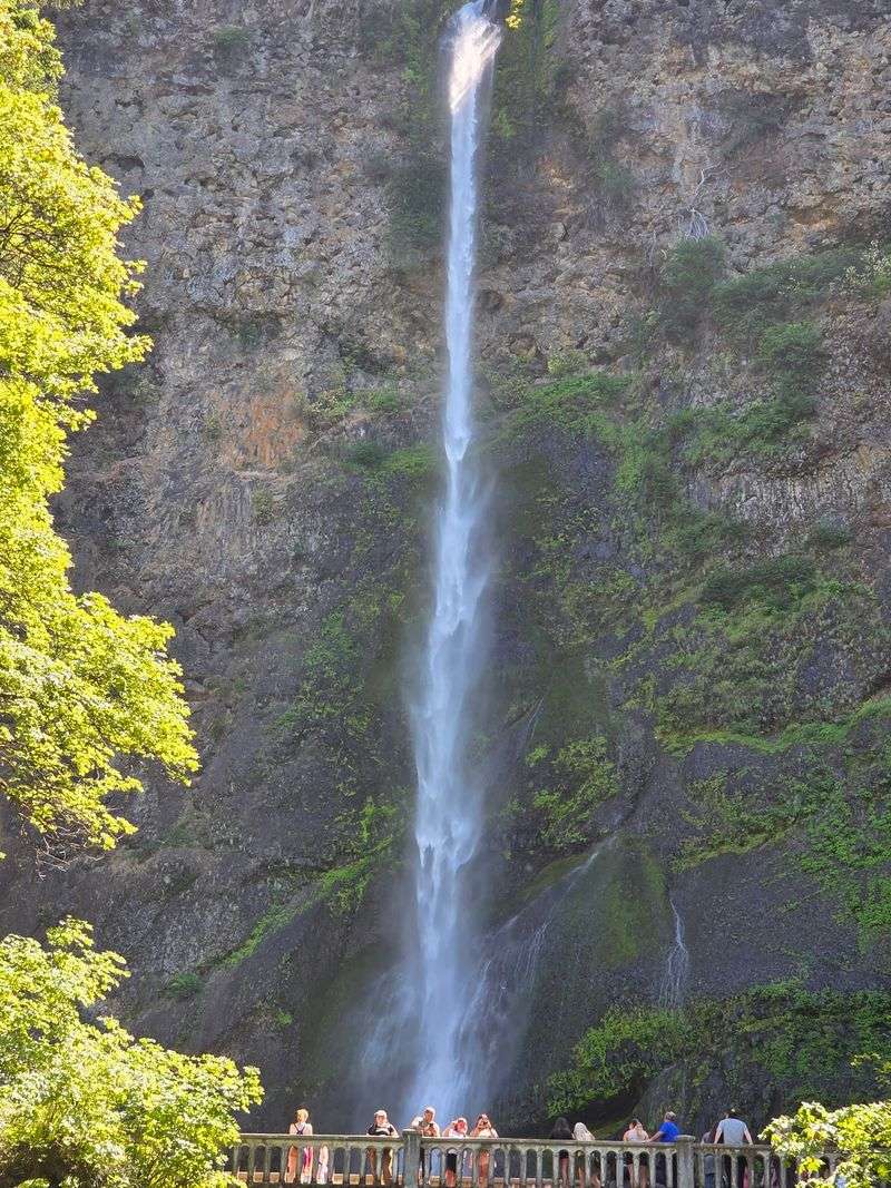 The Waterfall Story Behind Your Table