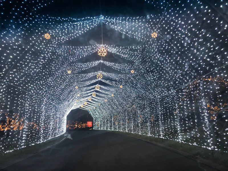 The Way of Lights Holiday Tradition