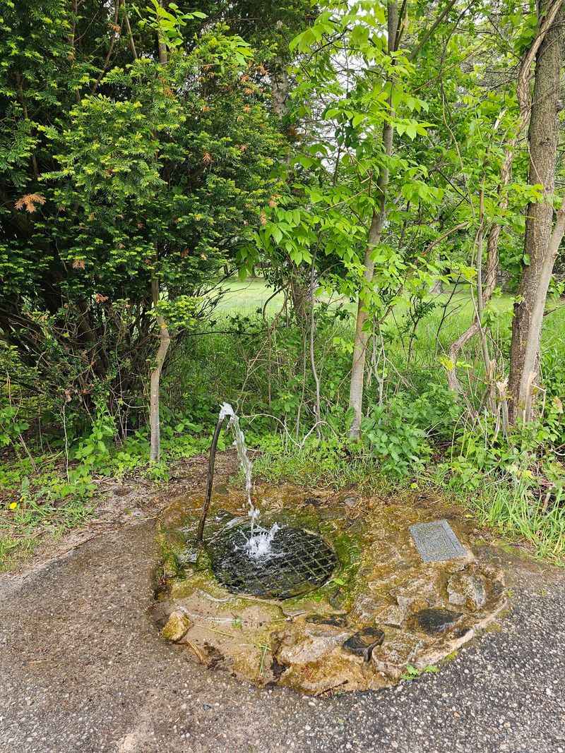 The Well That Writes Back The Well That Writes Back