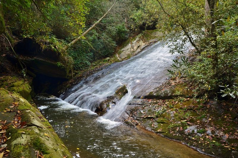 The Wettest Corner of the State