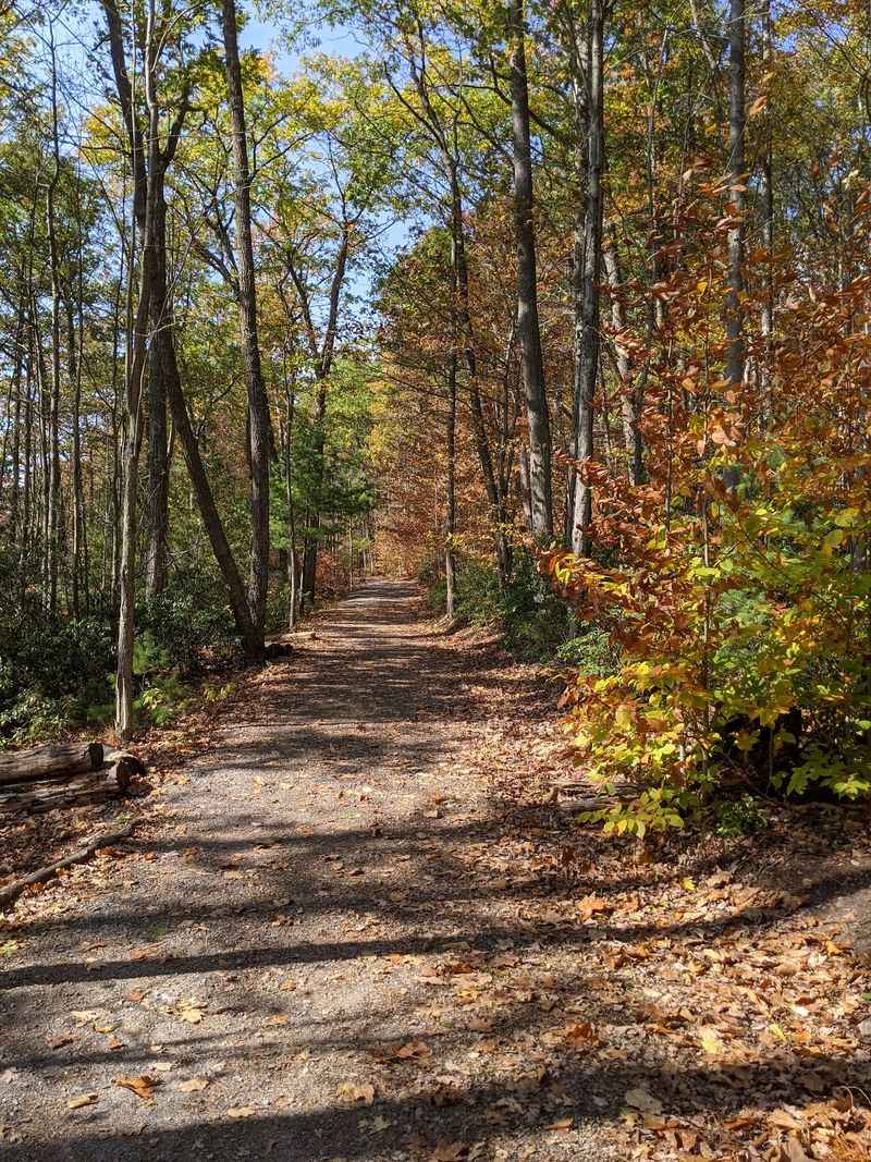 The Wide Path Built for Wheels