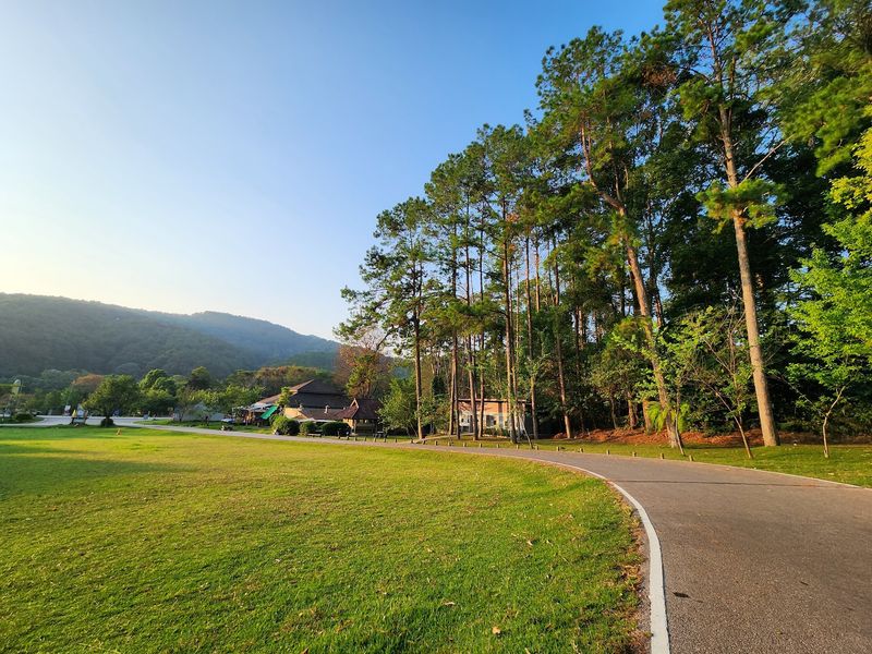 The Winding Mountain Road The Winding Mountain Road