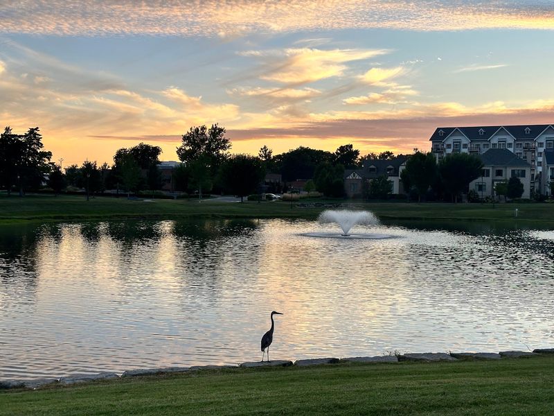 Three Lakes and the Quiet Reward of Fishing