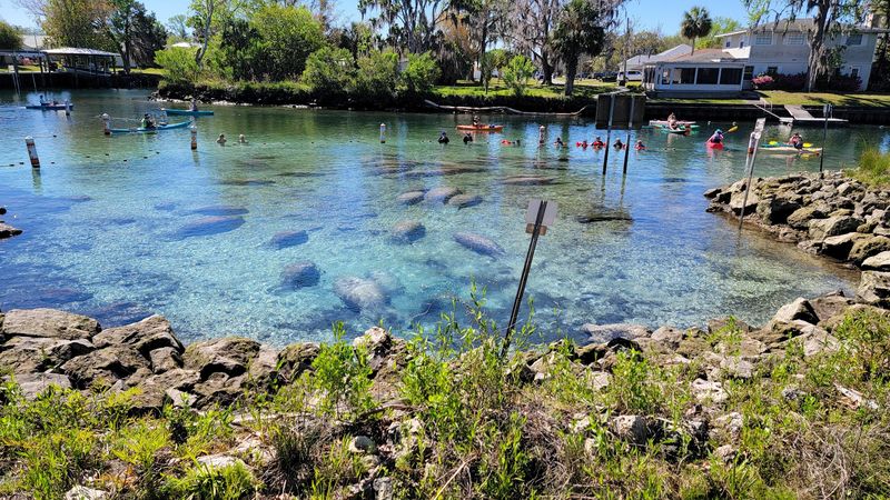 Three Sisters Springs, Crystal River, FL Three Sisters Springs, Crystal River, FL