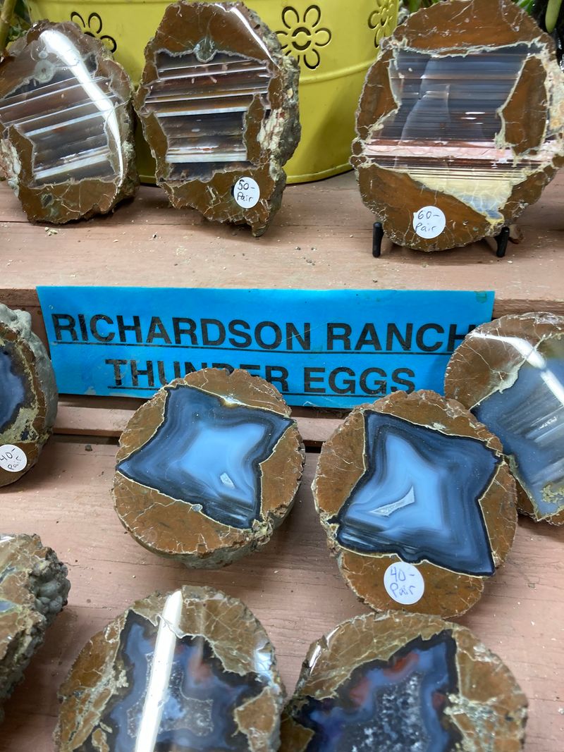 Thunder Eggs the Size of a Baby's Head Thunder Eggs the Size of a Baby's Head