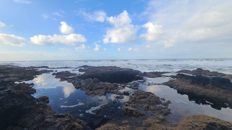 Tide Pools Full of Tiny Surprises Tide Pools Full of Tiny Surprises