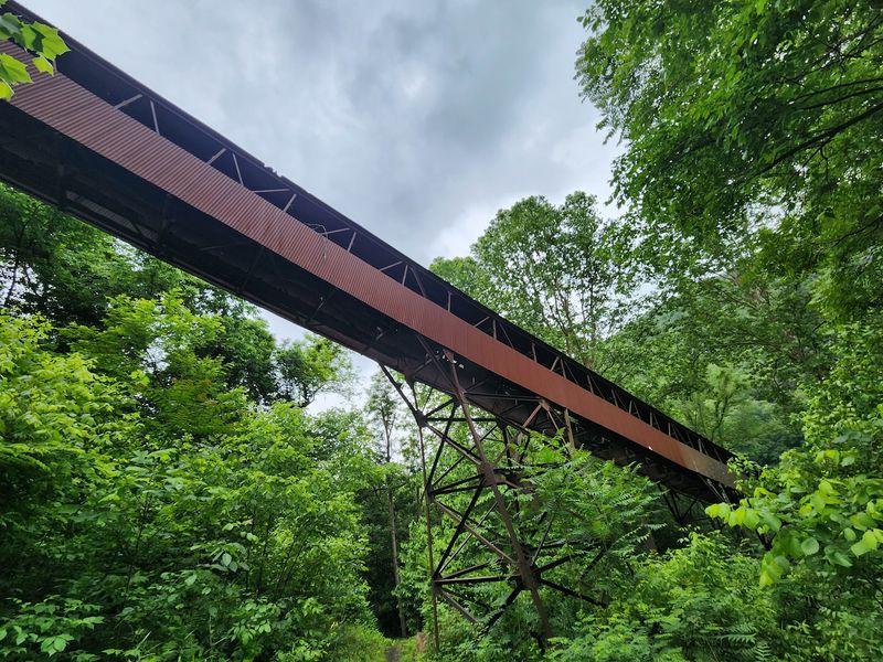 Timber Ridge Trail, New River Gorge National Park and Preserve, West Virginia