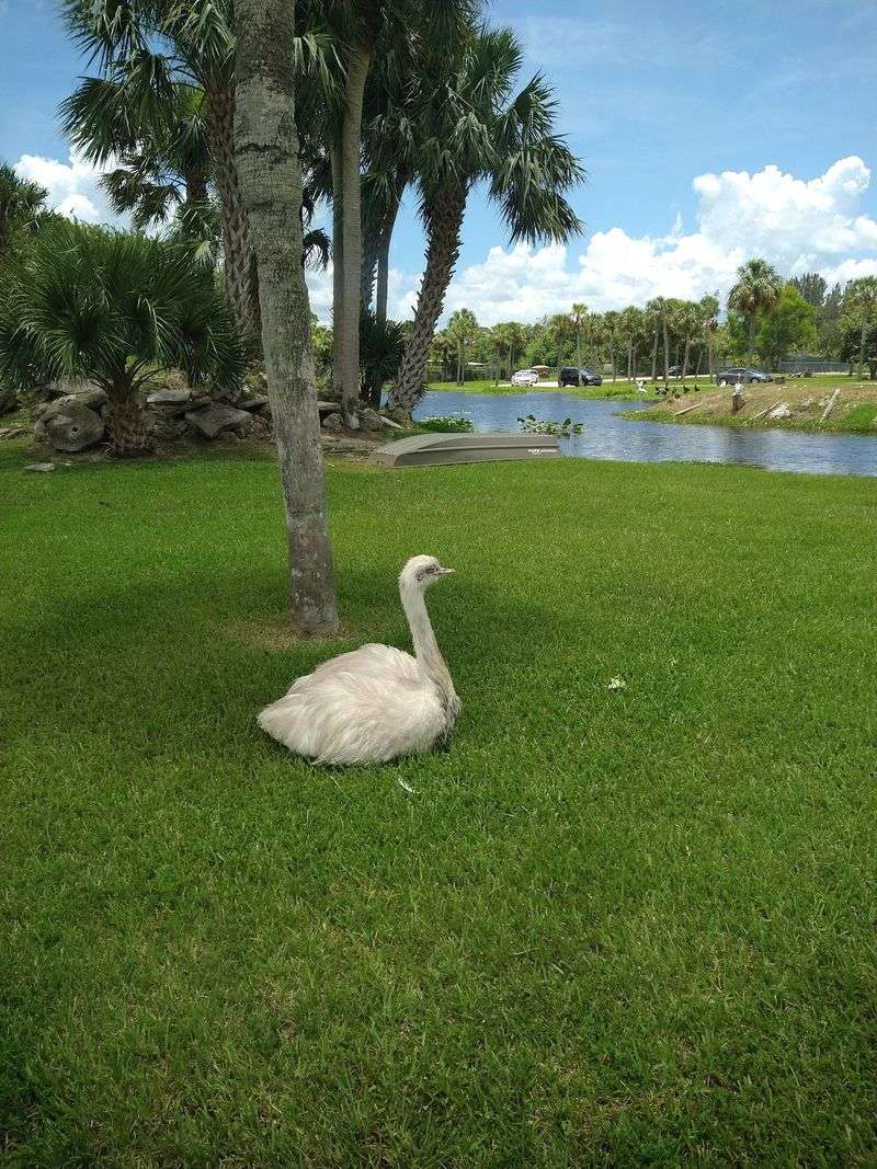 Timing, Tickets, and Directions to Loxahatchee Timing, Tickets, and Directions to Loxahatchee