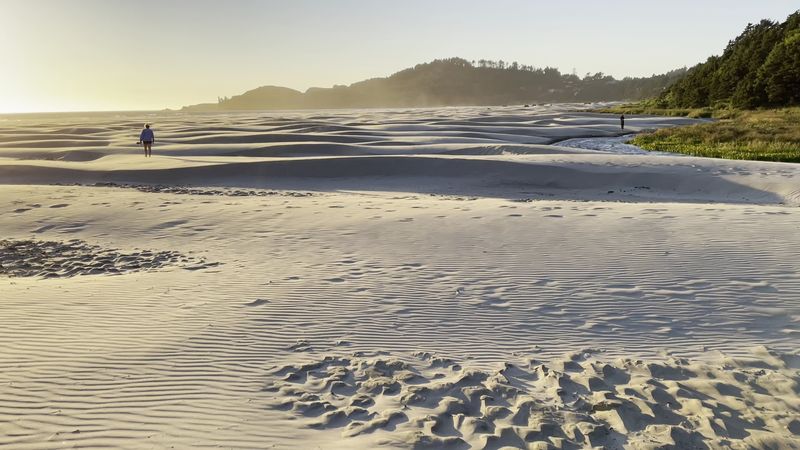 Timing the Hunt After Storms and Low Tides