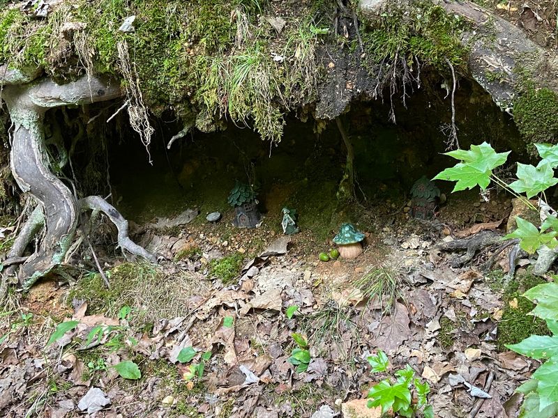 Tiny Gnome Villages Along the Path Tiny Gnome Villages Along the Path