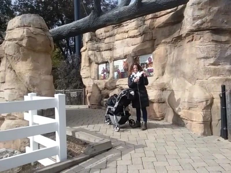 Toddler-Sized Fun Without the Crowds Toddler-Sized Fun Without the Crowds