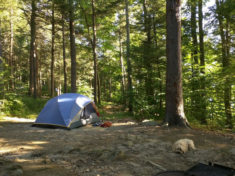Tolland State Forest, East Otis, MA
