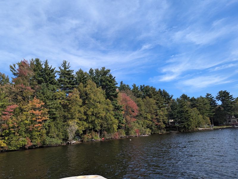 Tolland State Forest, East Otis, MA