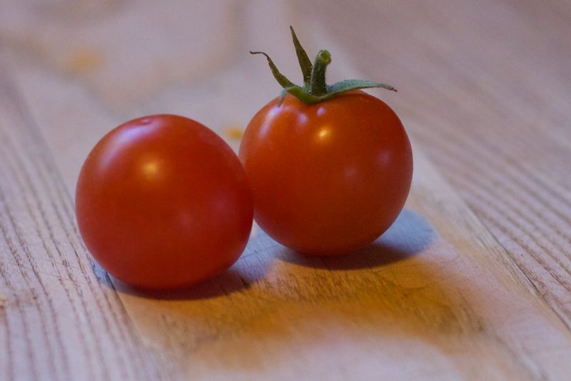 Tomatoes That Have Never Seen a Garden Tomatoes That Have Never Seen a Garden