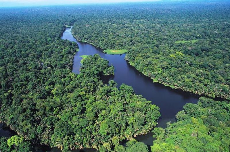Tortuguero National Park – Tortuguero Tortuguero National Park – Tortuguero