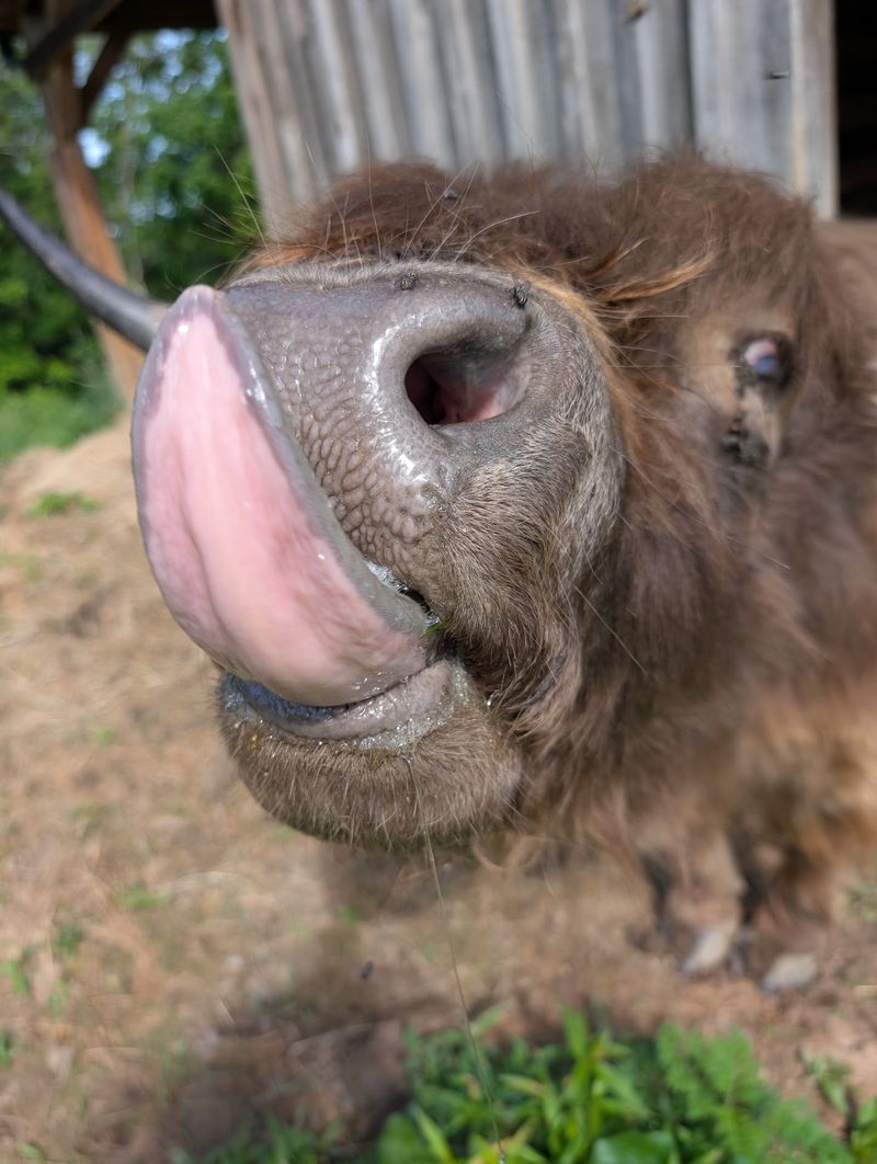 Tours That Put You Nose to Nose With the Herd Tours That Put You Nose to Nose With the Herd