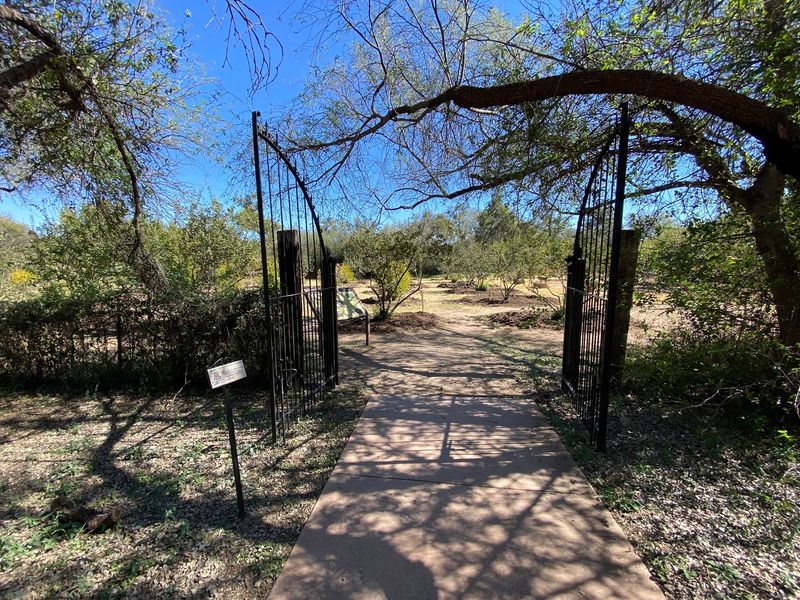 Trail Access to the Santa Cruz River