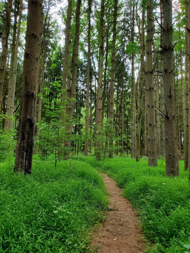 Trail Choices Beyond a Single Loop Trail Choices Beyond a Single Loop