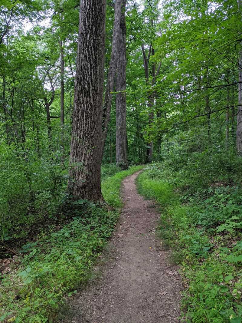 Trail Choices Without a Huge Commitment Trail Choices Without a Huge Commitment